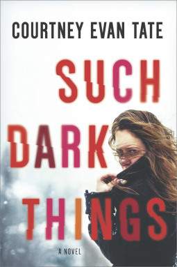 book cover for Such Dark Things