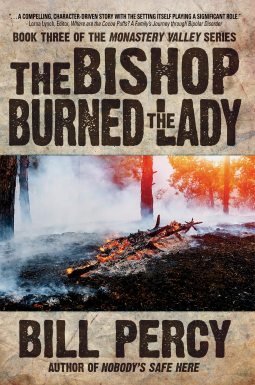 book cover for The Bishop Burned the Lady