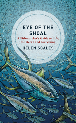 book cover for Eye of the Shoal