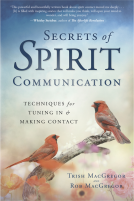 book cover for Secrets of Spirit Communication