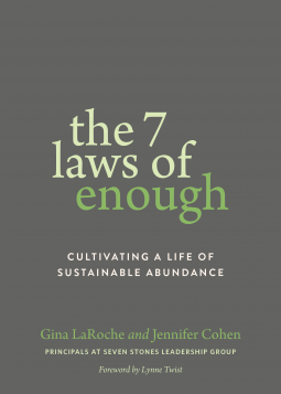book cover for The 7 Laws of Enough