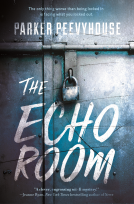 book cover for The Echo Room