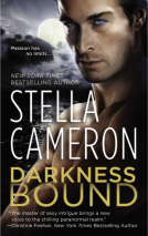 book cover for Darkness Bound