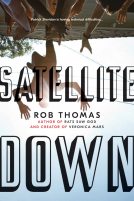 book cover for Satellite Down