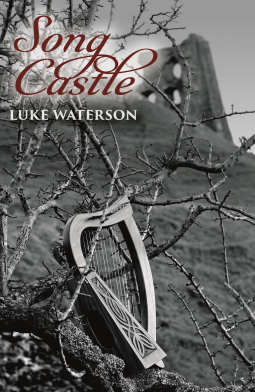 book cover for Song Castle