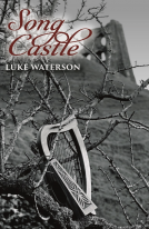 book cover for Song Castle