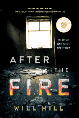 book cover for After the Fire
