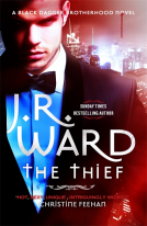 book cover for The Thief