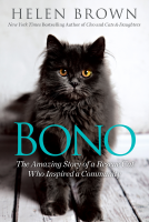 book cover for Bono