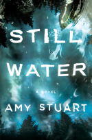 book cover for Still Water