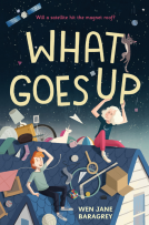 book cover for What Goes Up