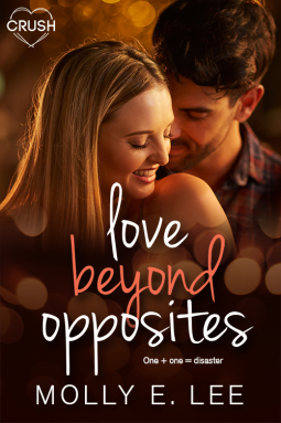 book cover for Love Beyond Opposites