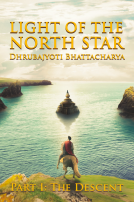 book cover for Light of the North Star