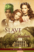 book cover for A Slave of the Shadows