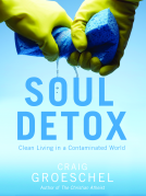 book cover for Soul Detox