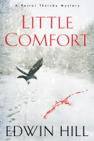 book cover for Little Comfort