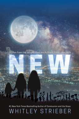 book cover for New