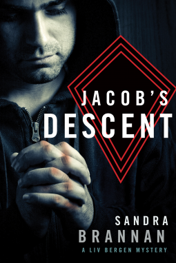book cover for Jacob's Descent