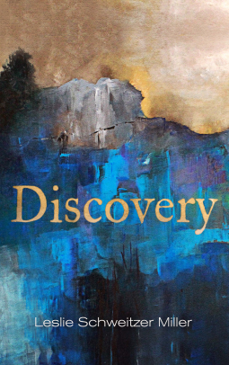 book cover for Discovery