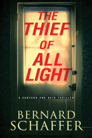 book cover for The Thief of All Light
