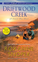 book cover for Driftwood Creek