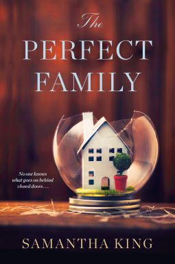 book cover for The Perfect Family