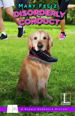book cover for Disorderly Conduct