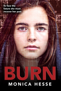 book cover for Burn