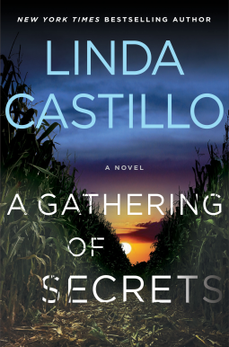book cover for A Gathering of Secrets