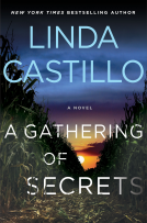 book cover for A Gathering of Secrets