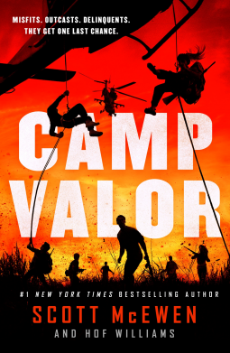 book cover for Camp Valor