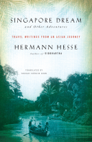 book cover for Singapore Dream and Other Adventures