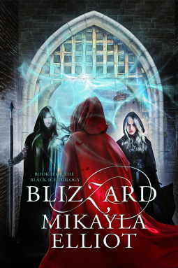 book cover for Blizzard