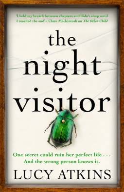 book cover for The Night Visitor
