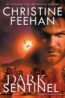 book cover for Dark Sentinel