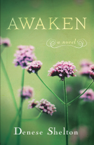 book cover for Awaken