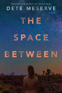 book cover for The Space Between