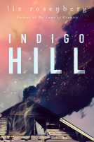 book cover for Indigo Hill