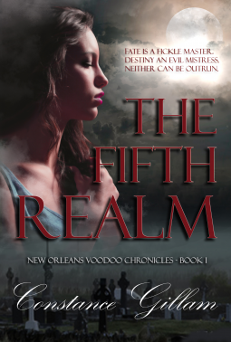 book cover for The 5th Realm