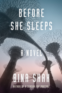 book cover for Before She Sleeps