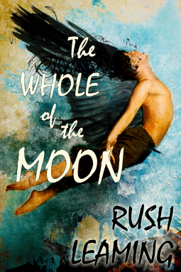 book cover for The Whole of The Moon