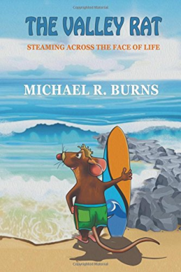 book cover for The Valley Rat