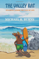 book cover for The Valley Rat