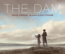 book cover for The Dam