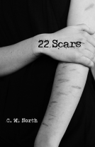 book cover for 22 Scars