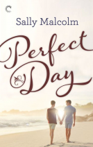 book cover for Perfect Day