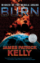 book cover for Burn