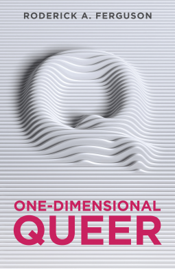book cover for One-Dimensional Queer