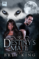 book cover for Destiny's Mate