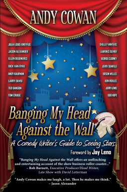 book cover for Banging My Head Against the Wall